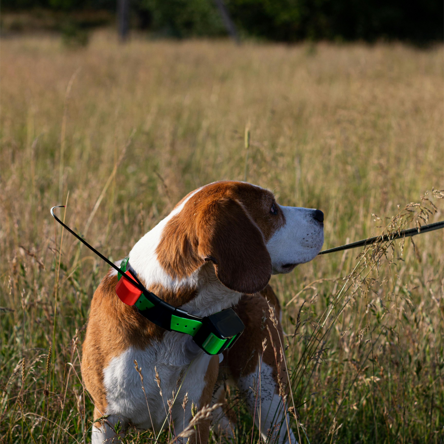 GPS Collar Antenna for Garmin DC50 T5 TT10 TT15 GPS Dog Collar Rubber Belt Emitter Antenna